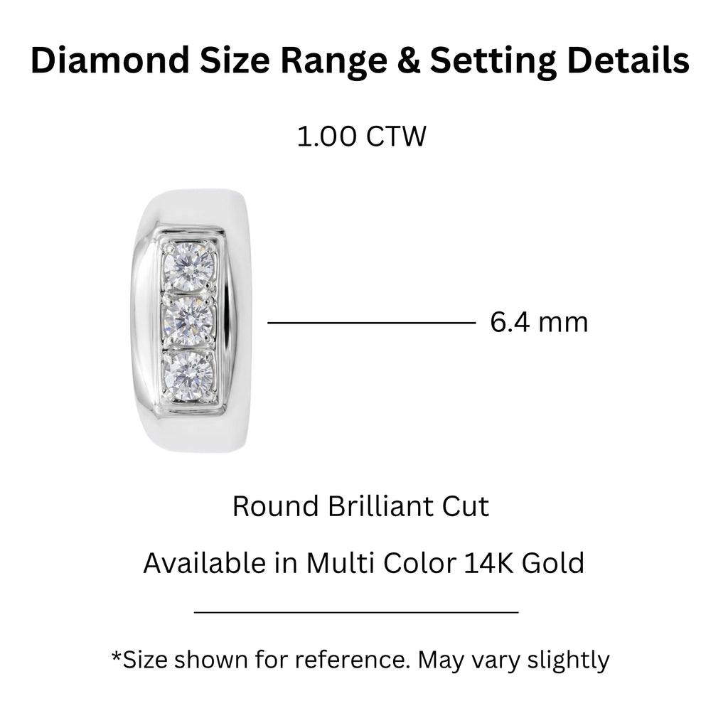 0.50 -1.00 Carat T.W. Round-cut Lab Grown Diamond (F/VS+) 14K Gold 3 Stone Men's Ring